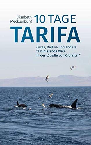 10 Tage Tarifa: Orcas, Delfine und andere faszinierende Wale in der "Straße von Gibraltar"