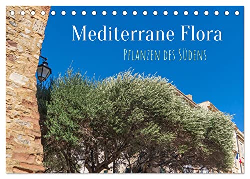 Mediterrane Flora - Pflanzen des Südens (Tischkalender 2024 DIN A5 quer), CALVENDO Monatskalender von CALVENDO