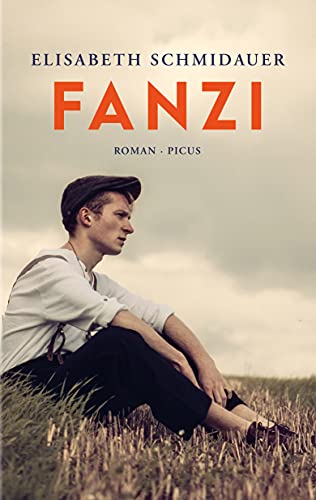 Fanzi: Roman von Picus Verlag