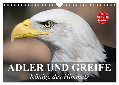 Adler und Greife. Könige des Himmels (Wandkalender 2024 DIN A4 quer), CALVENDO Monatskalender