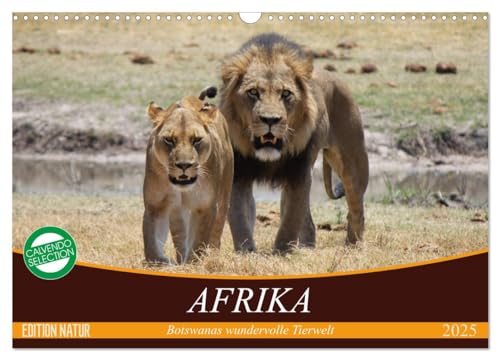 Afrika. Botswanas wundervolle Tierwelt (Wandkalender 2025 DIN A3 quer), CALVENDO Monatskalender von CALVENDO