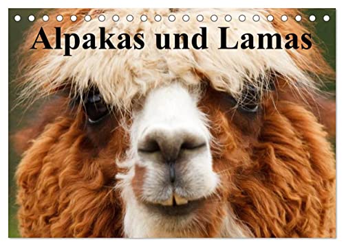 Alpakas und Lamas (Tischkalender 2024 DIN A5 quer), CALVENDO Monatskalender von CALVENDO