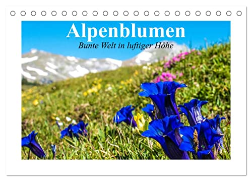 Alpenblumen. Bunte Welt in luftiger Höhe (Tischkalender 2024 DIN A5 quer), CALVENDO Monatskalender von CALVENDO