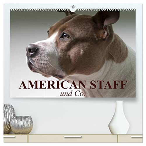 American Staff und Co. (hochwertiger Premium Wandkalender 2025 DIN A2 quer), Kunstdruck in Hochglanz von CALVENDO
