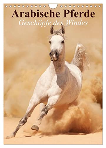 Arabische Pferde • Geschöpfe des Windes (Wandkalender 2024 DIN A4 hoch), CALVENDO Monatskalender