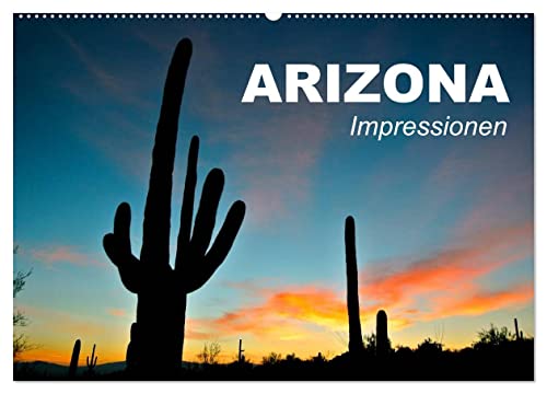 Arizona • Impressionen (Wandkalender 2024 DIN A2 quer), CALVENDO Monatskalender