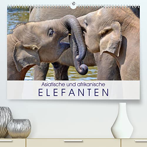 Asiatische und afrikanische Elefanten (hochwertiger Premium Wandkalender 2024 DIN A2 quer), Kunstdruck in Hochglanz
