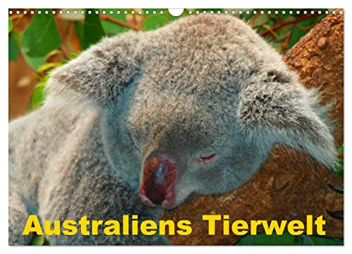Australiens Tierwelt (Wandkalender 2024 DIN A3 quer), CALVENDO Monatskalender von CALVENDO