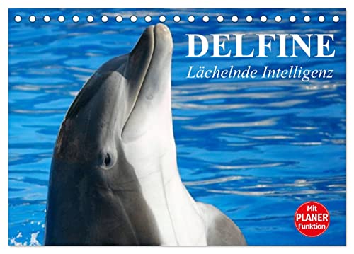 Delfine - Lächelnde Intelligenz (Tischkalender 2024 DIN A5 quer), CALVENDO Monatskalender