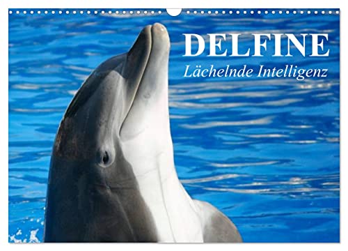 Delfine - Lächelnde Intelligenz (Wandkalender 2024 DIN A3 quer), CALVENDO Monatskalender