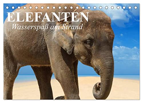 Elefanten - Wasserspaß am Strand (Tischkalender 2025 DIN A5 quer), CALVENDO Monatskalender von CALVENDO