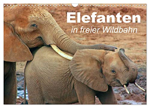 Elefanten in freier Wildbahn (Wandkalender 2024 DIN A3 quer), CALVENDO Monatskalender von CALVENDO