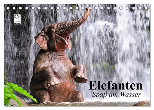 Elefanten. Spaß am Wasser (Tischkalender 2024 DIN A5 quer), CALVENDO Monatskalender von CALVENDO