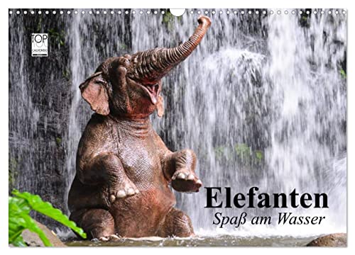 Elefanten. Spaß am Wasser (Wandkalender 2024 DIN A3 quer), CALVENDO Monatskalender