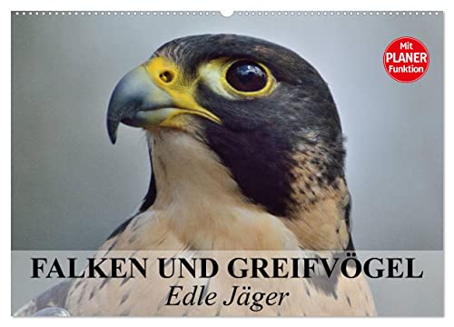Falken und Greifvögel - Edle Jäger (Wandkalender 2024 DIN A2 quer), CALVENDO Monatskalender