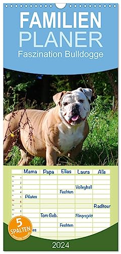 Familienplaner 2024 - Faszination Bulldogge mit 5 Spalten (Wandkalender, 21 cm x 45 cm) CALVENDO