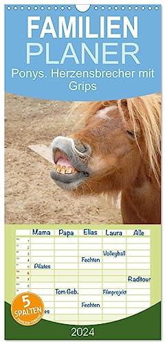 Familienplaner 2024 - Ponys. Herzensbrecher mit Grips mit 5 Spalten (Wandkalender, 21 cm x 45 cm) CALVENDO