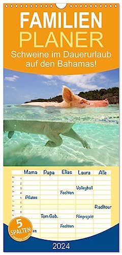 Familienplaner 2024 - Schweine im Dauerurlaub auf den Bahamas! mit 5 Spalten (Wandkalender, 21 cm x 45 cm) CALVENDO