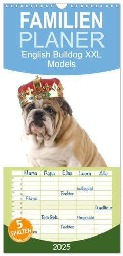 Familienplaner 2025 - English Bulldog XXL Models mit 5 Spalten (Wandkalender, 21 cm x 45 cm), CALVENDO