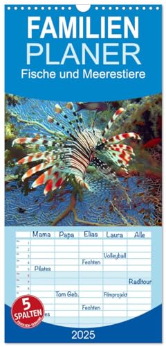 Familienplaner 2025 - Fische und Meerestiere mit 5 Spalten (Wandkalender, 21 cm x 45 cm), CALVENDO