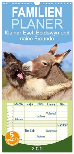 Familienplaner 2025 - Kleiner Esel. Boldewyn und seine Freunde mit 5 Spalten (Wandkalender, 21 cm x 45 cm), CALVENDO von CALVENDO