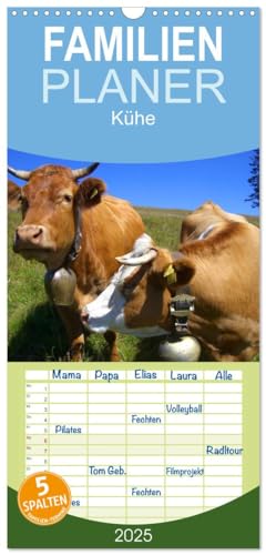 Familienplaner 2025 - Kühe mit 5 Spalten (Wandkalender, 21 cm x 45 cm), CALVENDO