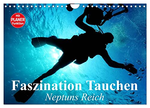 Faszination Tauchen. Neptuns Reich (Wandkalender 2024 DIN A4 quer), CALVENDO Monatskalender