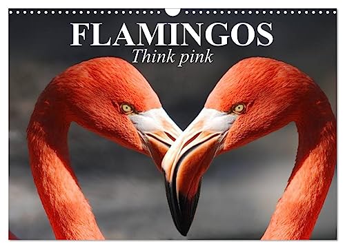 Flamingos Think pink (Wandkalender 2024 DIN A3 quer), CALVENDO Monatskalender