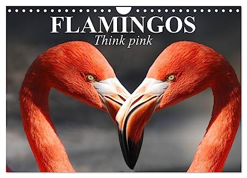 Flamingos Think pink (Wandkalender 2024 DIN A4 quer), CALVENDO Monatskalender von CALVENDO