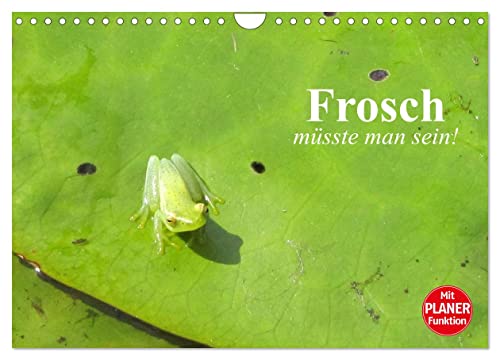 Frosch müsste man sein! (Wandkalender 2024 DIN A4 quer), CALVENDO Monatskalender von CALVENDO