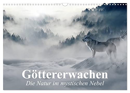 Göttererwachen. Die Natur im mystischen Nebel (Wandkalender 2025 DIN A3 quer), CALVENDO Monatskalender