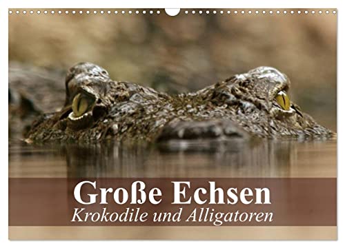 Große Echsen. Krokodile und Alligatoren (Wandkalender 2025 DIN A3 quer), CALVENDO Monatskalender von CALVENDO