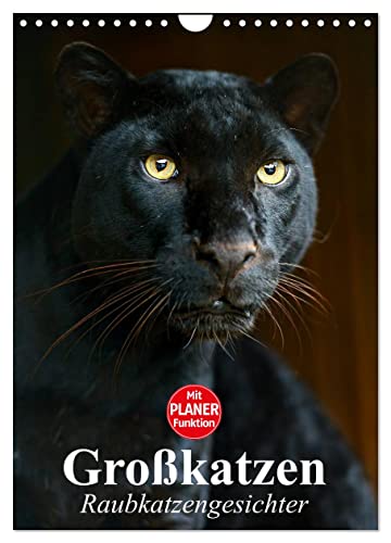 Großkatzen. Raubkatzengesichter (Wandkalender 2025 DIN A4 hoch), CALVENDO Monatskalender von CALVENDO