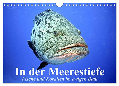 In der Meerestiefe. Fische und Korallen im ewigen Blau (Wandkalender 2024 DIN A4 quer), CALVENDO Monatskalender