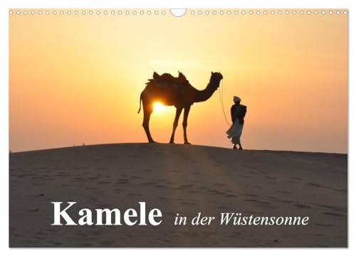 Kamele in der Wüstensonne (Wandkalender 2024 DIN A3 quer), CALVENDO Monatskalender: Faszinierende Wüstentiere mit besonderen Fähigkeiten von CALVENDO