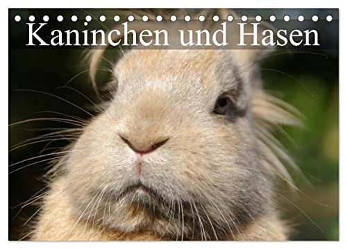 Kaninchen und Hasen (Tischkalender 2025 DIN A5 quer), CALVENDO Monatskalender von CALVENDO