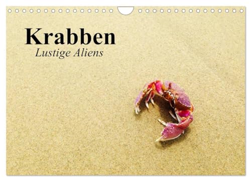 Krabben. Lustige Aliens (Wandkalender 2024 DIN A4 quer), CALVENDO Monatskalender: Lustige Gesellen am Strand und im Wasser von CALVENDO
