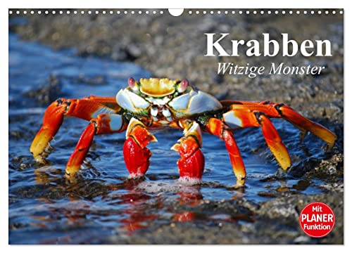 Krabben. Witzige Monster (Wandkalender 2024 DIN A3 quer), CALVENDO Monatskalender