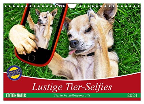 Lustige Tier-Selfies. Tierische Selbstportraits (Wandkalender 2024 DIN A4 quer), CALVENDO Monatskalender von CALVENDO