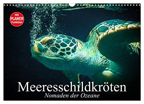 Meeresschildkröten. Nomaden der Ozeane (Wandkalender 2024 DIN A3 quer), CALVENDO Monatskalender