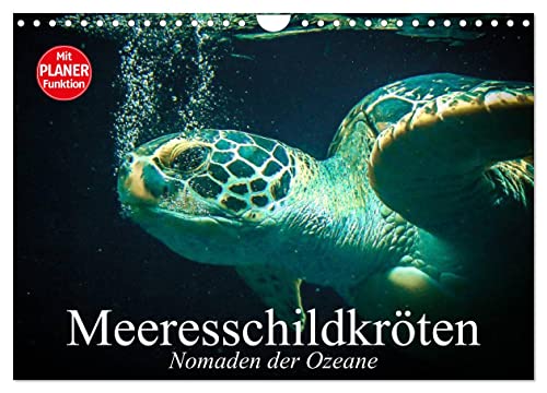 Meeresschildkröten. Nomaden der Ozeane (Wandkalender 2024 DIN A4 quer), CALVENDO Monatskalender von CALVENDO