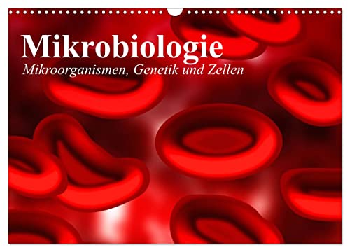 Mikrobiologie. Mikroorganismen, Genetik und Zellen (Wandkalender 2024 DIN A3 quer), CALVENDO Monatskalender von CALVENDO