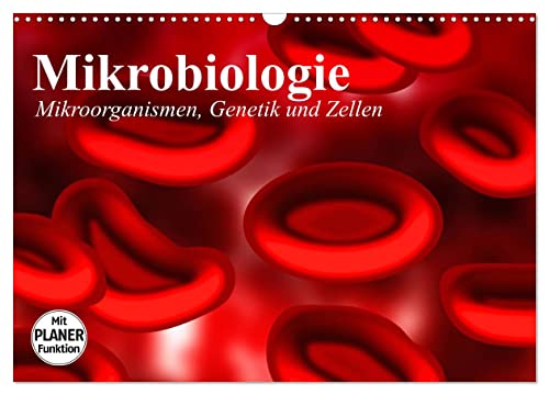 Mikrobiologie. Mikroorganismen, Genetik und Zellen (Wandkalender 2025 DIN A3 quer), CALVENDO Monatskalender