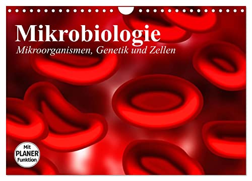 Mikrobiologie. Mikroorganismen, Genetik und Zellen (Wandkalender 2025 DIN A4 quer), CALVENDO Monatskalender