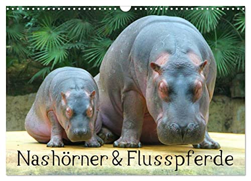 Nashörner & Flusspferde (Wandkalender 2024 DIN A3 quer), CALVENDO Monatskalender