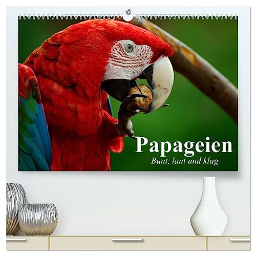 Papageien. Bunt, laut und klug (hochwertiger Premium Wandkalender 2025 DIN A2 quer), Kunstdruck in Hochglanz