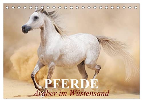 Pferde • Araber im Wüstensand (Tischkalender 2024 DIN A5 quer), CALVENDO Monatskalender