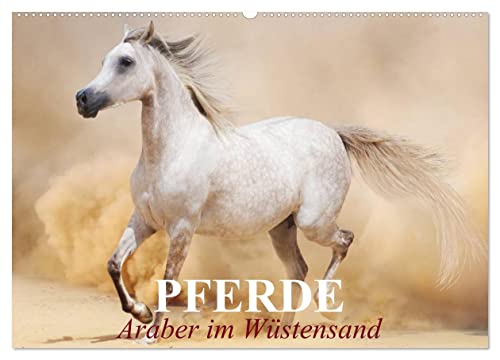 Pferde • Araber im Wüstensand (Wandkalender 2024 DIN A2 quer), CALVENDO Monatskalender