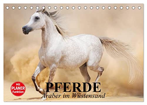 Pferde. Araber im Wüstensand (Tischkalender 2024 DIN A5 quer), CALVENDO Monatskalender von CALVENDO