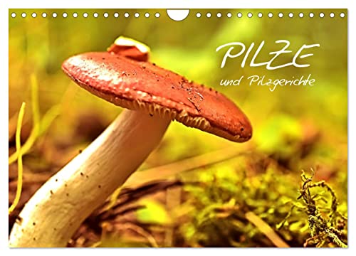 Pilze und Pilzgerichte (Wandkalender 2024 DIN A4 quer), CALVENDO Monatskalender